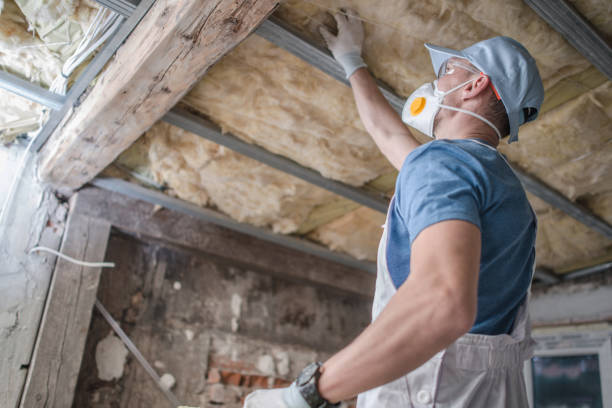 Best Spray Foam Insulation  in Tome, NM